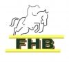 IV Etapa do Ranking da FHB 2026